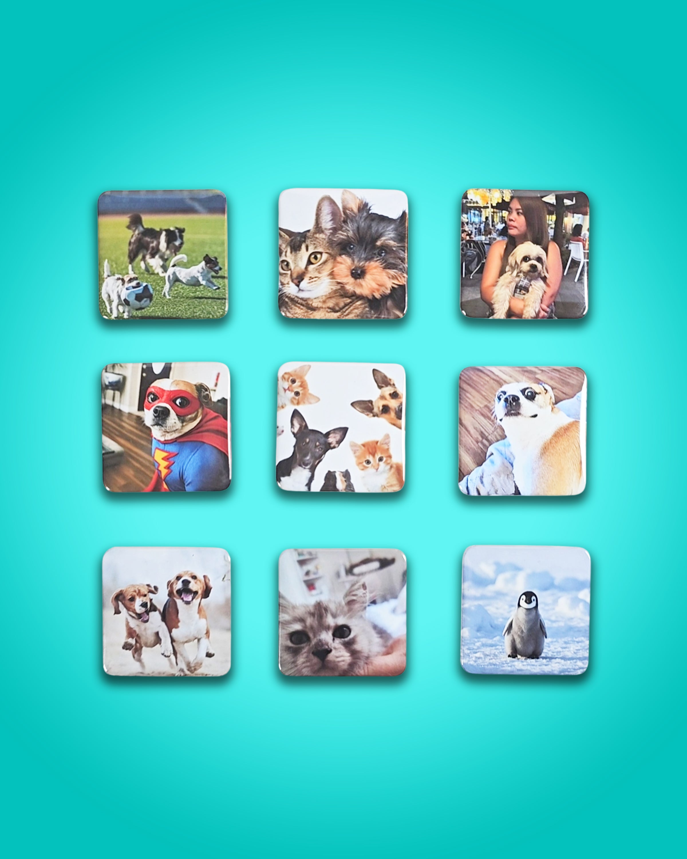 Puparazzi Pets - Cooper & Charlie