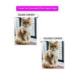 Puparazzi Pets Photo Magnets - 2 x 3 Inch - Cooper & Charlie