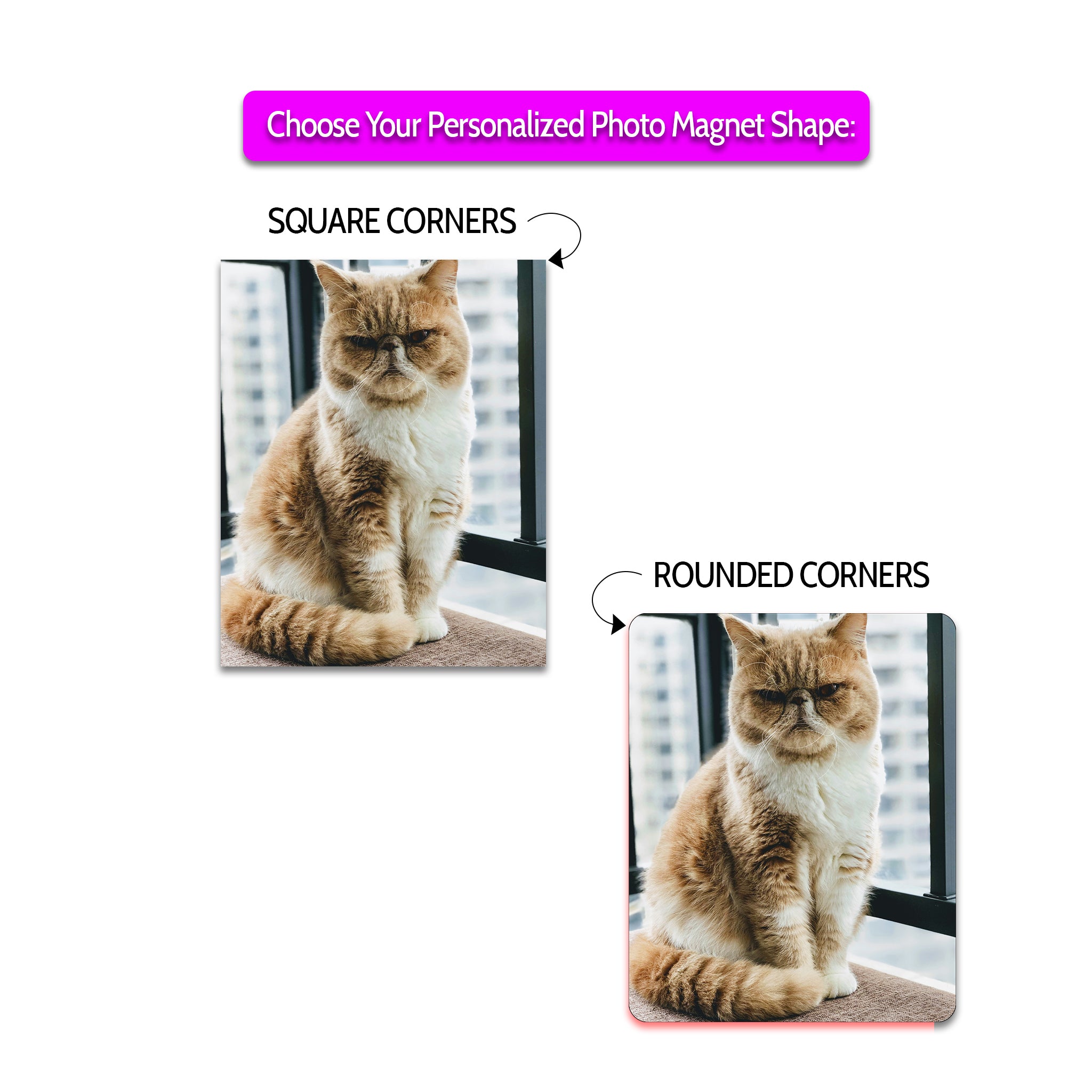 Puparazzi Pets Photo Magnets - 2 x 3 Inch - Cooper & Charlie