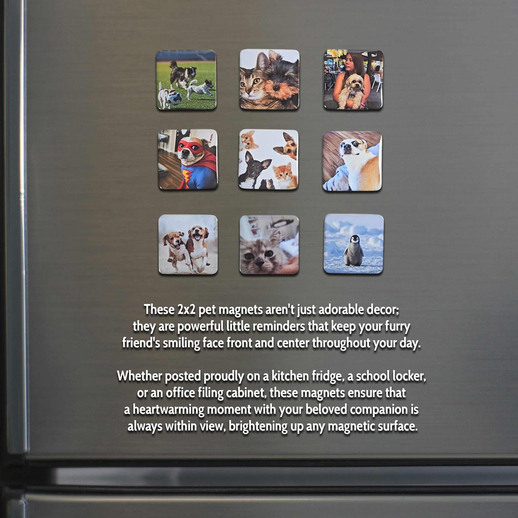 Puparazzi Pets 2x2 Photo Magnets - Cooper & Charlie