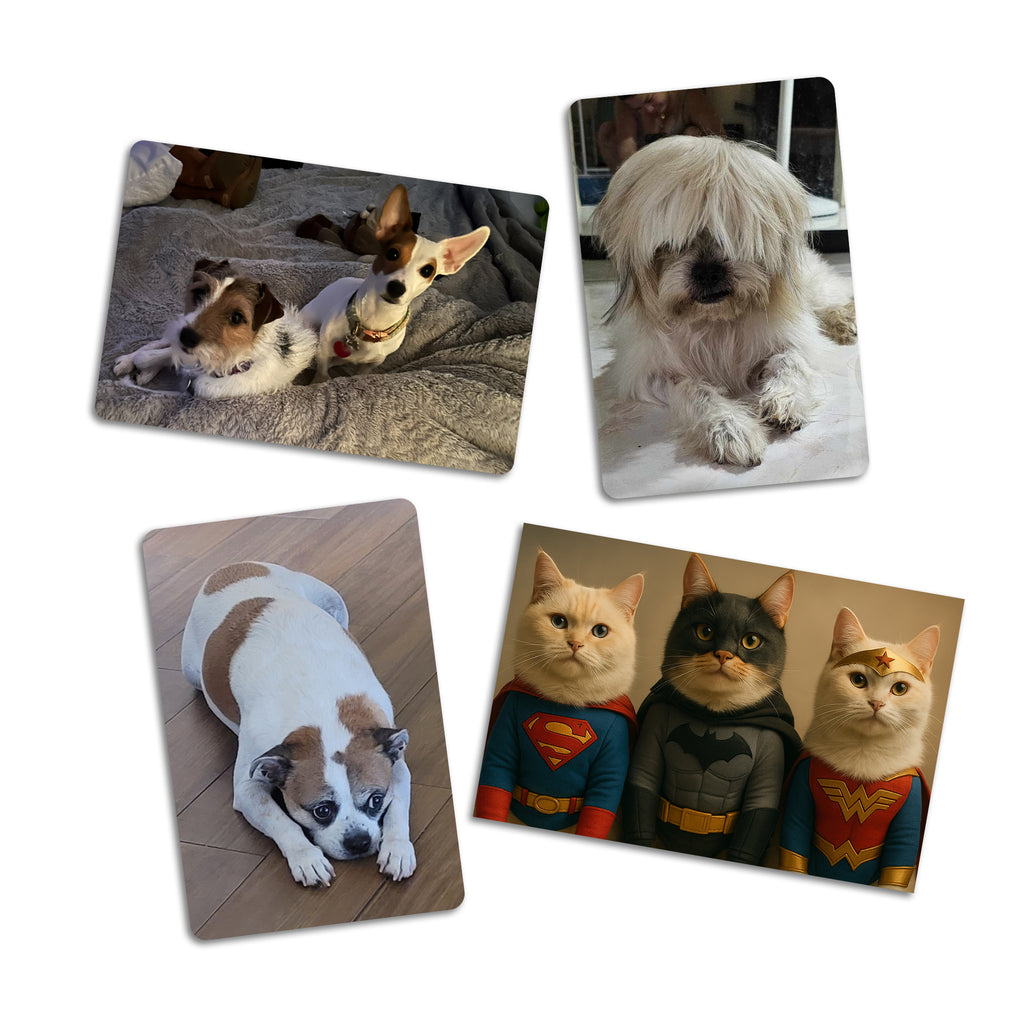 Puparazzi Pets Photo Magnets - 2 x 3 Inch - Cooper & Charlie