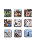 Puparazzi Pets 2x2 Photo Magnets - Cooper & Charlie