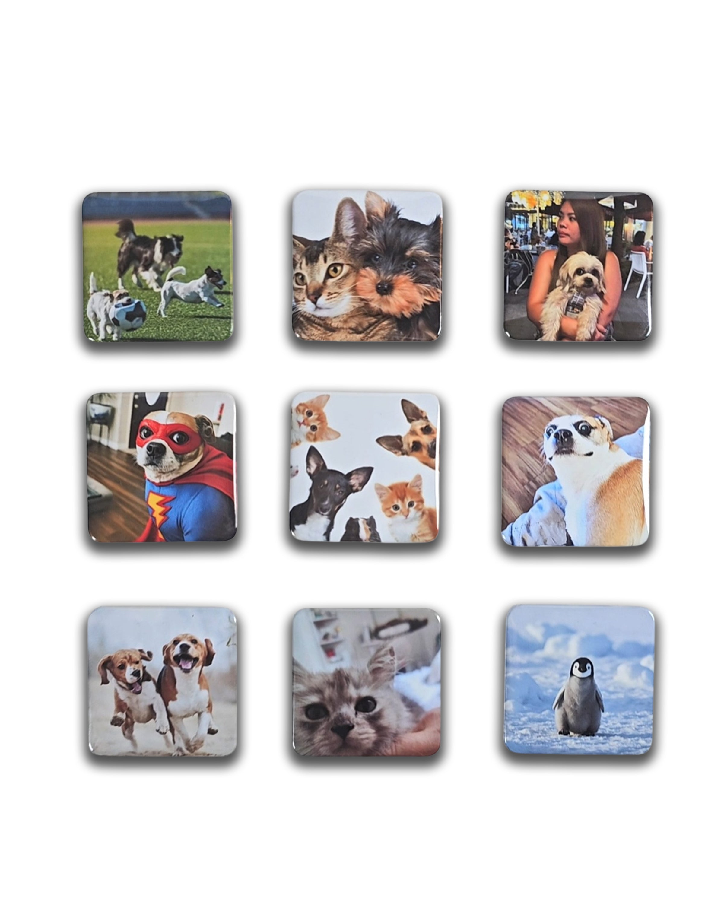 Puparazzi Pets 2x2 Photo Magnets - Cooper & Charlie