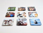 Puparazzi Pets 2x2 Photo Magnets - Cooper & Charlie
