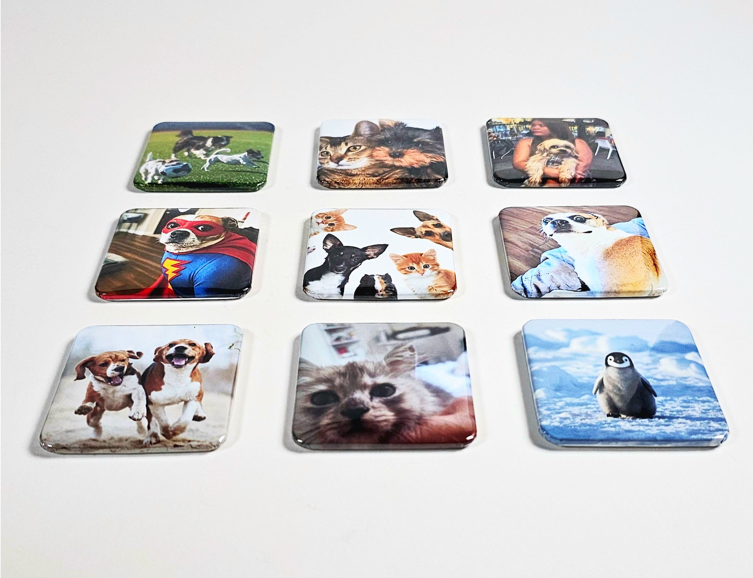 Puparazzi Pets 2x2 Photo Magnets - Cooper & Charlie